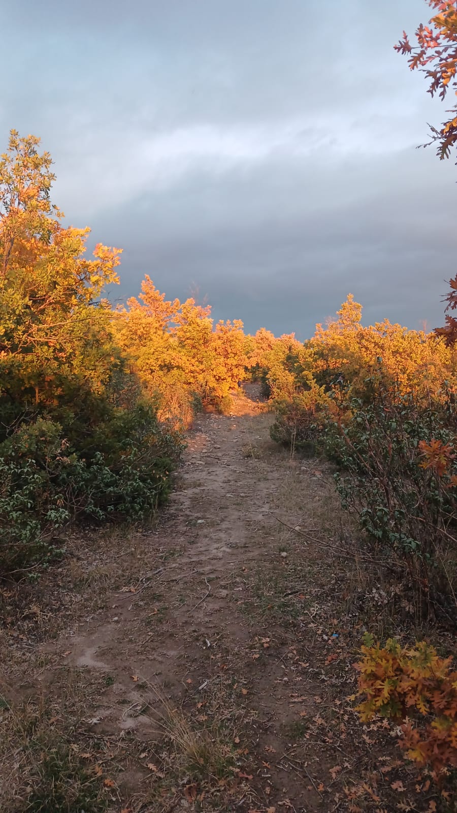 Frig Vadisinin İncisi Kayıhan Sonbaharda Bir Başka Güzel